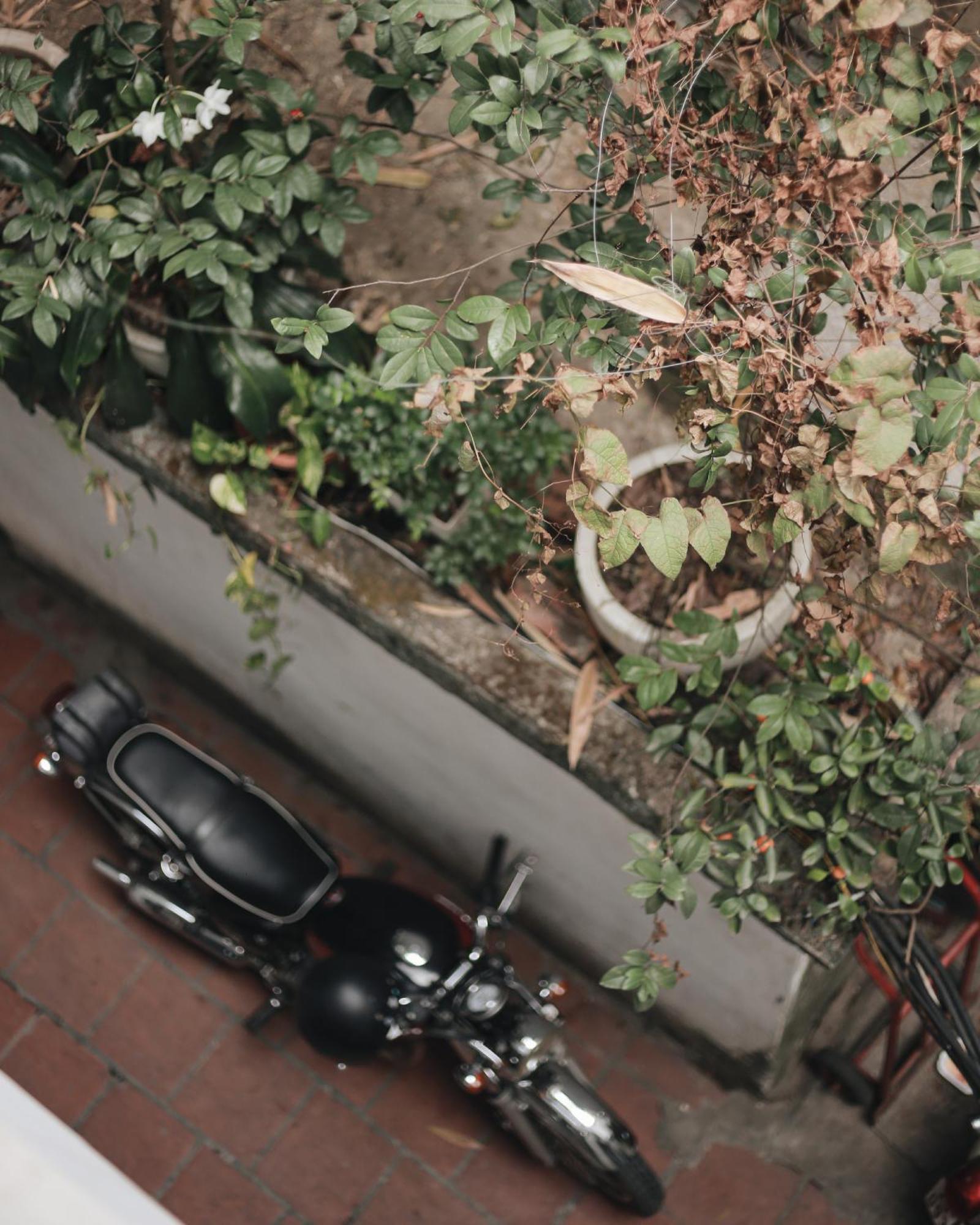 Hidden Gem 2 * Hanoi